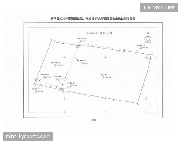 界外判定规则要点:出界标准与掷界权判定 界外判定规则要点:出界标准与掷界权判定
